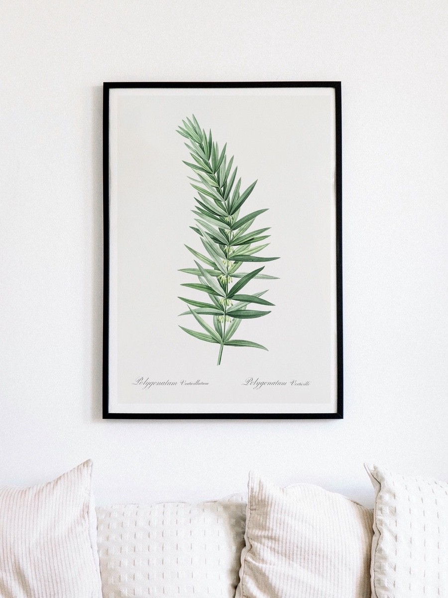 Botanical Poster Print
